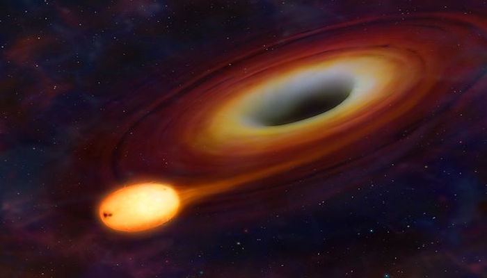 Black Hole Eating a Star